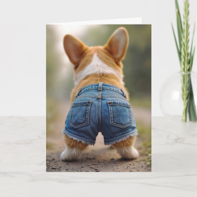 Carte Chien de Corgi d'anniversaire portant le bleu Jean (Devant)