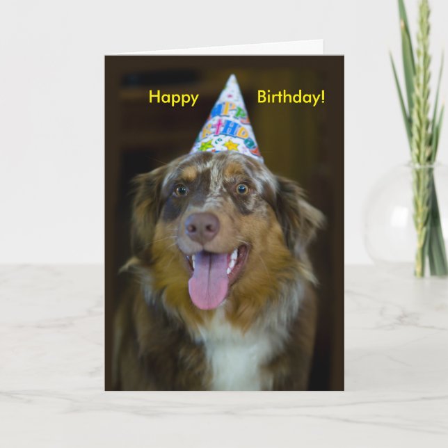 Carte Chien de fête d'anniversaire du berger australien (Devant)