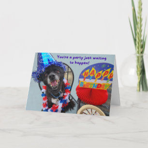 Carte Chien de fête drôle Anniversaire 