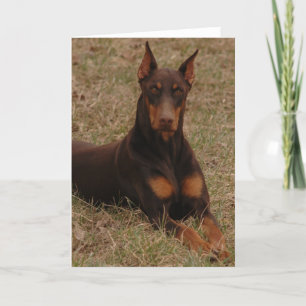 Carte Chien de garde ultime