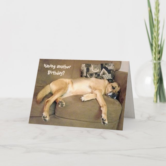 Carte Chien de Hound Anniversaire (Devant)