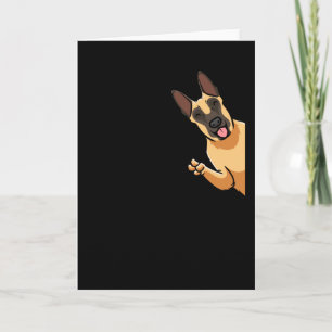 Carte Chien de Malinois Chien de Berger Belge