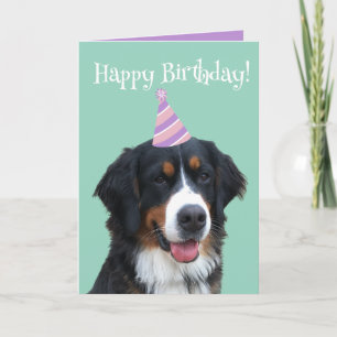 Carte Chien de montagne bernois Chiot Anniversaire