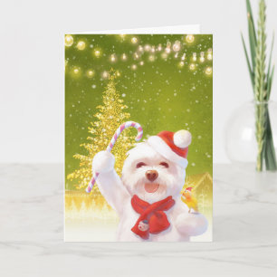 Carte Chien de Noël avec Sucre de canne