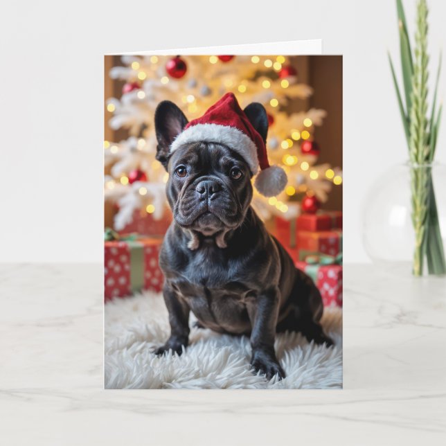 Carte Chien de Noël Français avec chapeau de Père Noël (Devant)