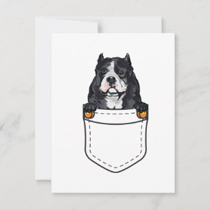 Carte Chien de poche