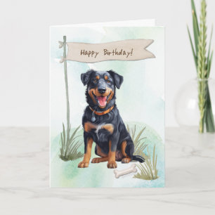Carte Chien de race Beauceron à l'extérieur sous le sign