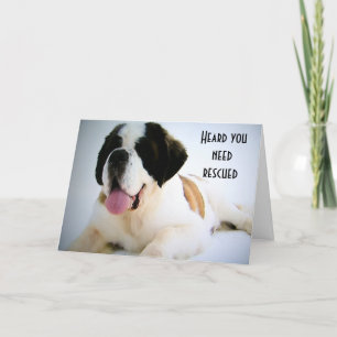 Carte CHIEN DE SECOURT DU 40e ANNIVERSAIRE
