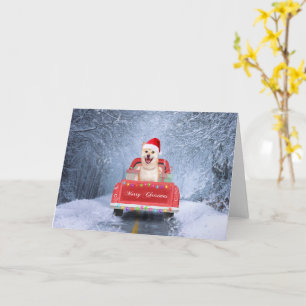 Carte Chien de Shiba Inu en neige assis sur un camion de