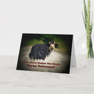 Carte Chien de Sortie Berger Allemand