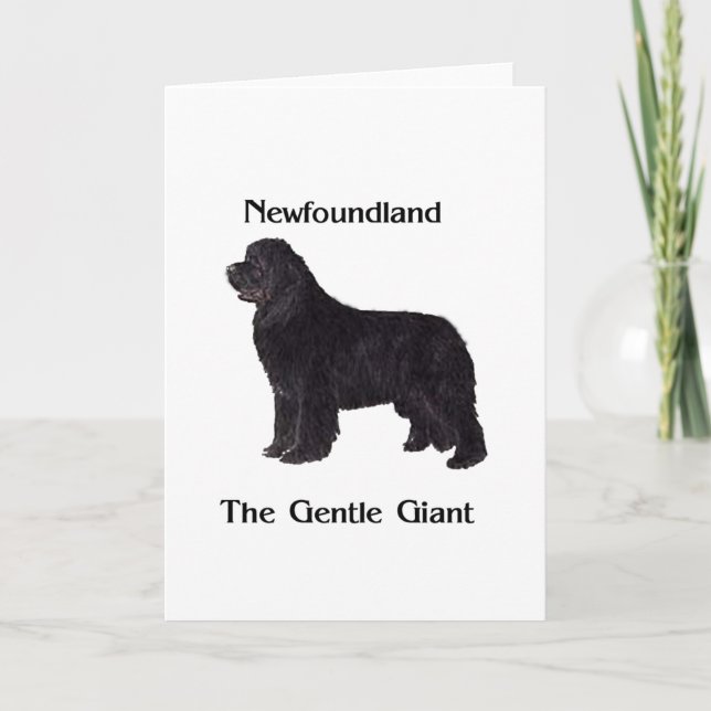 Carte Chien de Terre-Neuve le géant doux (Devant)