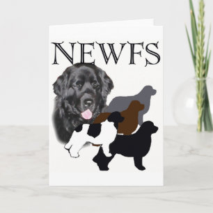 Carte Chien de Terre-Neuve quatre couleurs