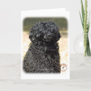 Carte Chien d'eau portugais 9R016D-151