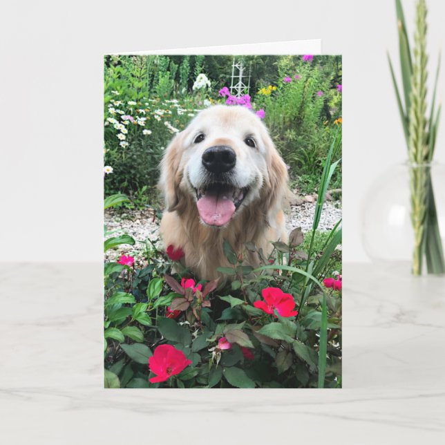 Carte Chien doré souriant parmi les fleurs Blank (Devant)