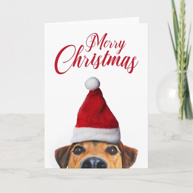 Carte Chien drôle mignon curieux avec un chapeau de Père (Devant)