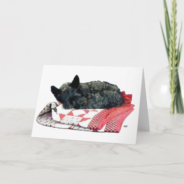 Carte Chien écossais endormi (Devant)