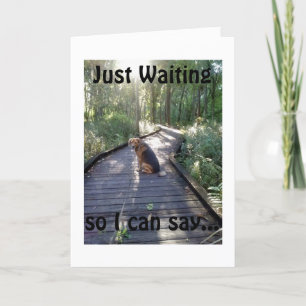 CARTE CHIEN EN MARCHE DANS LES BOIS ATTEND DE DIRE HEURE