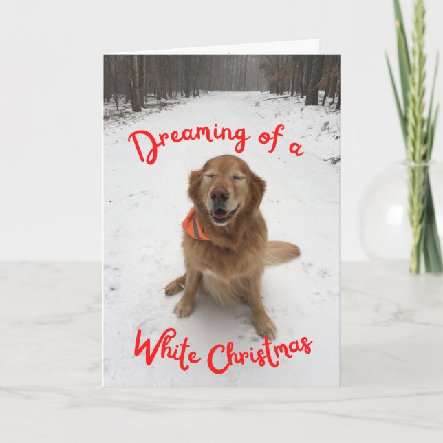 Carte Chien en neige rêvant de Noël blanc (Devant)