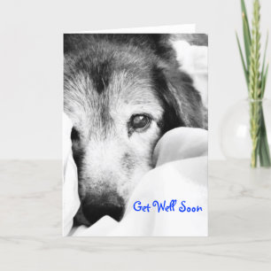 Carte chien endormi sur le caisson de lit noir blanc