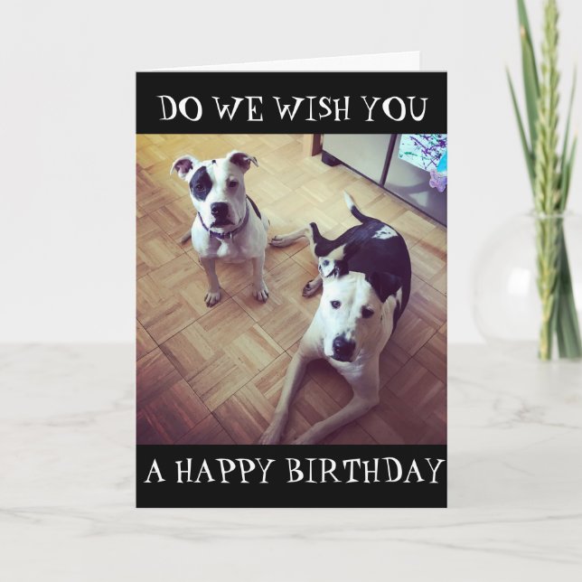 CARTE *CHIEN EST PARTI !* NOUS VOUS SOUHAITONS UN JOLI A (Devant)
