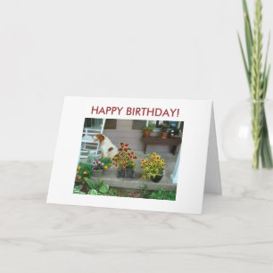 Carte Chien et fleurs sur le porche, JOYEUX ANNIVERSAIRE