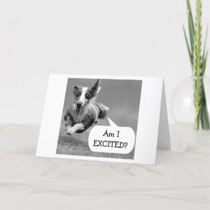 CARTE CHIEN EXCITÉ NE PEUT PAS ATTENDRE VOTRE ANNIVERSAI