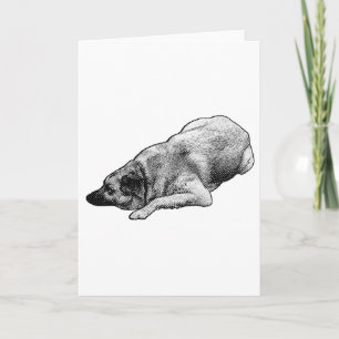 Carte Chien Gentil Points Partage un Salut Festif Confor
