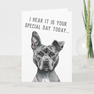 Carte Chien gris mignon drôle Joyeux anniversaire