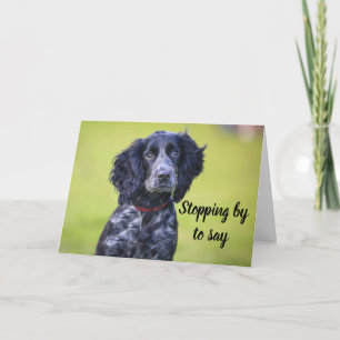 CARTE CHIEN GROOMER, VÉTÉRINAIRE ET CHIEN MARCHER