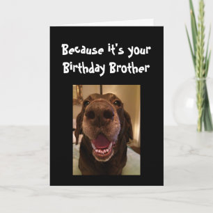 Carte Chien Gros Nez Drôle Anniversaire Frère Amour Chie