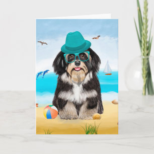 Carte Chien Havanais sur la plage