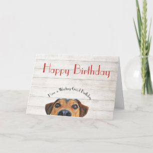Carte Chien Joyeux Anniversaire Funny Greeting Card