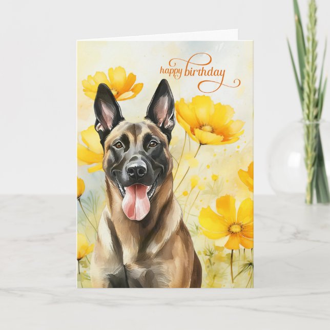 Carte Chien malinois belge et Poppies d'or Anniversaire (Devant)