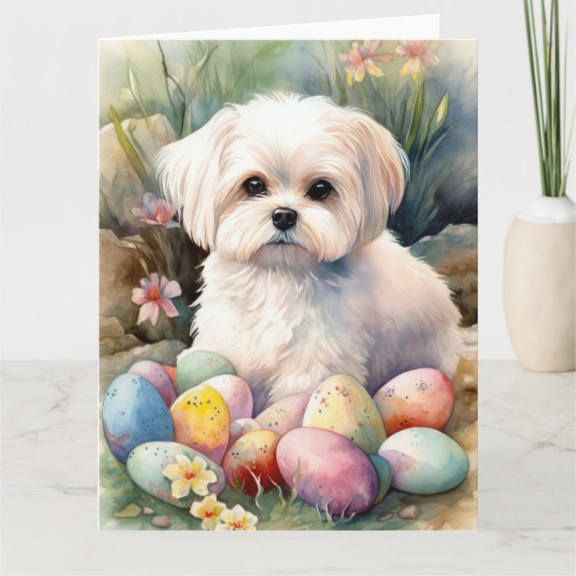 Carte Chien maltais avec oeufs de Pâques vacances (Devant)