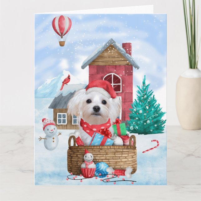Carte Chien maltais dans une maison pour chien de Noël e (Devant)