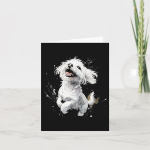 Carte Chien maltais Jouer Amoureux des chiens