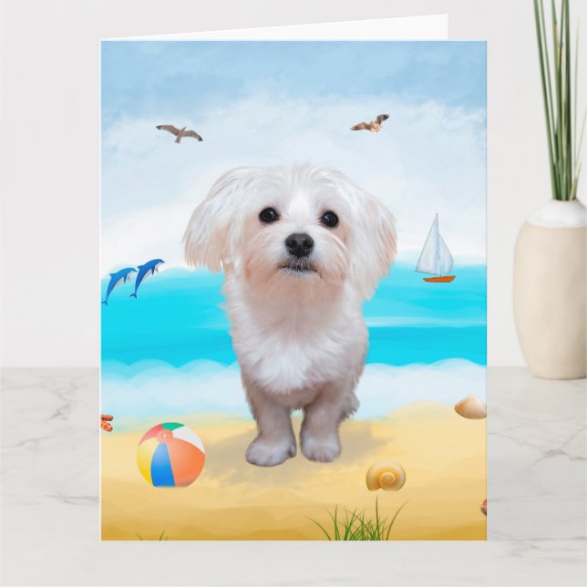 Carte Chien maltais sur la plage (Devant)