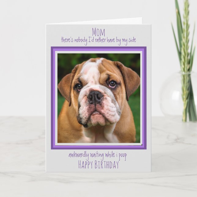 Carte Chien Maman Drôle Joyeux Anniversaire Mignonne Chi (Devant)