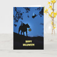 Chien mignon d'Halloween en costume avec brique ou
