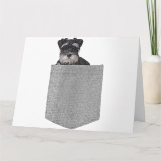 Carte Chien mignon Schnauzer miniature dans votre poche 