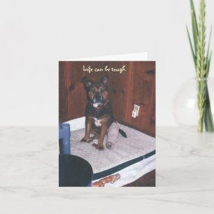 Carte Chien mignon Se tirer bien/Jambe cassée