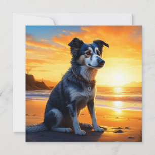 Carte Chien mignon sur la plage au coucher du soleil