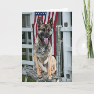 Carte chien militaire