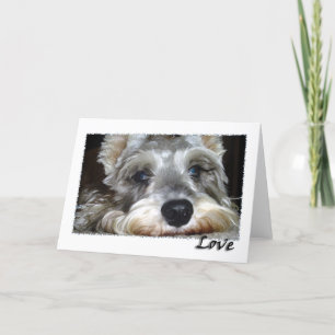 Carte CHIEN: Mini Schnauzer allemand avec amour