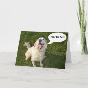 Carte Chien parlant Templete