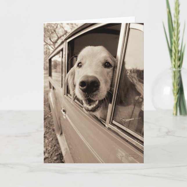 Carte Chien regardant dehors une fenêtre de voiture (Devant)