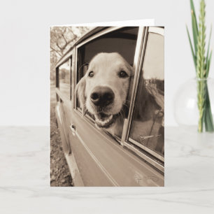 Carte Chien regardant dehors une fenêtre de voiture