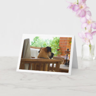 Carte Chien reposant dans le portrait de chaise