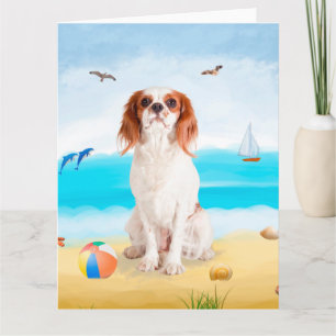 Carte Chien roi cavalier sur la plage