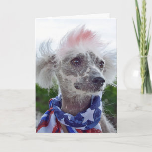 Carte Chien sans cheveux en cage en Chine, écharpe de dr